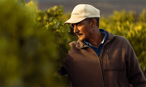 Alvis Drift Winery