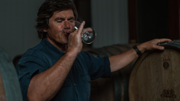 Alvi’s Drift Verreaux Pinotage: Honouring 100 Years of SA Heritage