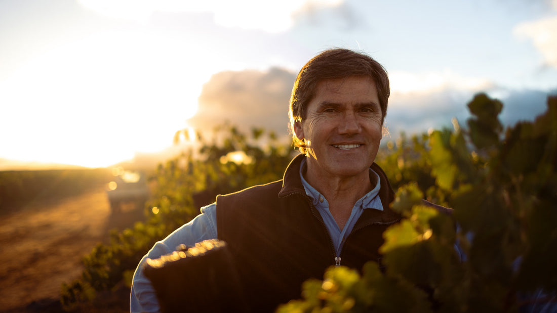 End-of-Harvest Q&A with Alvi van der Merwe