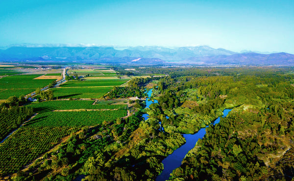 Alvis Drift Winery