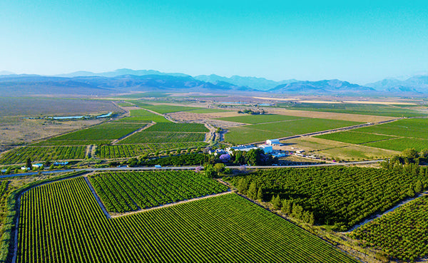 Alvis Drift Winery