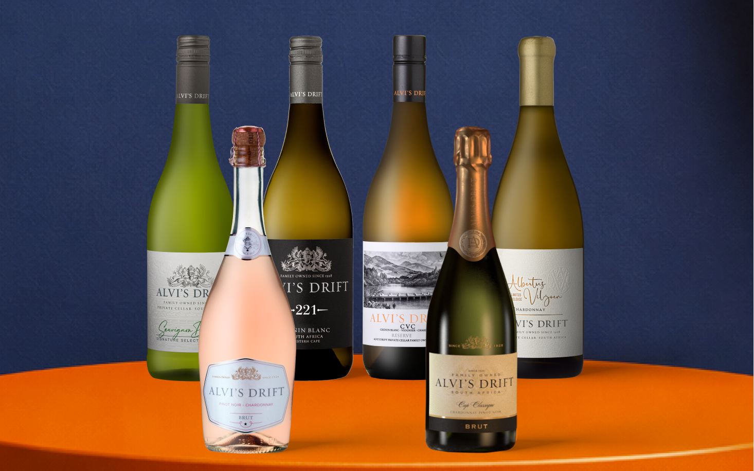 Welcome to 2026 sale