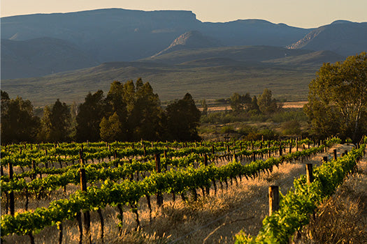 Alvis Drift Winery