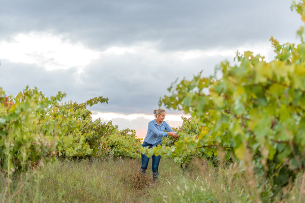 Alvis Drift Winery