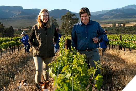 Alvis Drift Winery